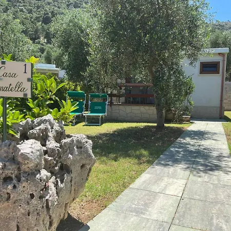 Antichi Ulivi