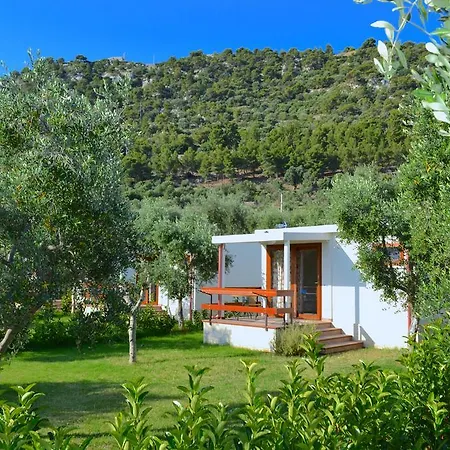 Alloggio per agriturismo Antichi Ulivi Mattinata
